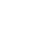 pdf icon